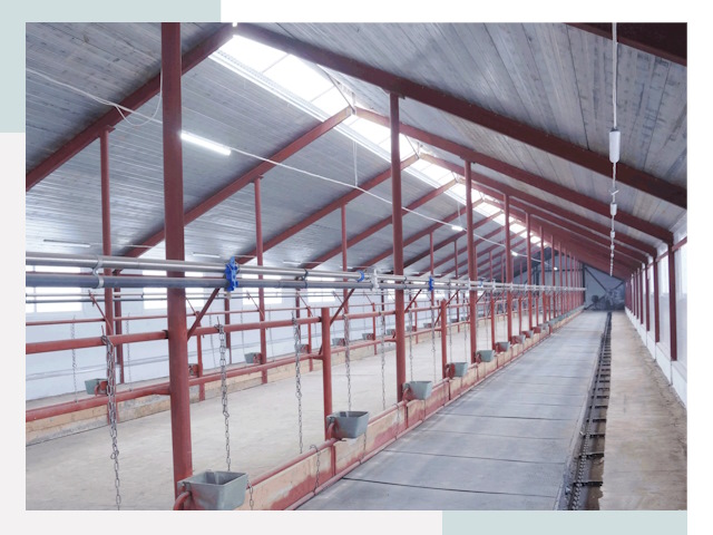 Строительство коровников в Братске от 612 руб.