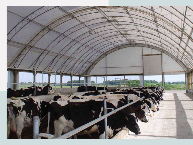 Тентовые коровники в Братске